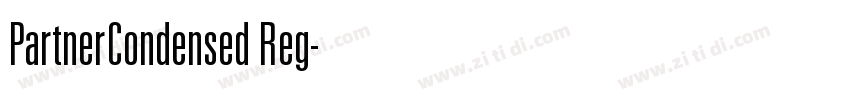 PartnerCondensed Reg字体转换